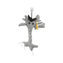 GIANTmicrobes Examen Hjärncells Plush, examensplush 2025, examensgosedjur 2025