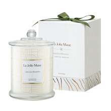 LA JOLIE MUSE Scented Candles Jasmine 100% Soy Wax in Jar Gifts Large 60 Hours