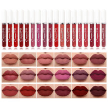 BONNIE CHOICE 18Pcs Set de Rouge à Lèvres Liquide Mat, Waterproof Longue Durée, Nude et Rouge Foncé