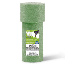 FloraCraft FloraFoM Herinneringsvaas Inzet 3.4 Inch x 8 Inch Groen