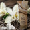 Bath & Body Works Crème pour le corps Warm Vanilla Sugar Bath and Body Works 3