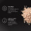 Rodial Rodial Glass Powder Deluxe 4