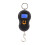 Hanging Scale, 120x75x25mm, 50kg Load, ABS, LCD Display, Hand Tools 1