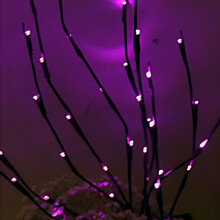 DIY Crafting LED Lighted Willow Branches for Vase Fillers, Waterproof Battery Operated Twig Lights with Warm White Bulbs, Indoor Outdoor Decorative Fe