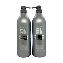 Recamier Professional Salon In +Pro Platinum Intensifier Hair Kit Shampoo & Treatment