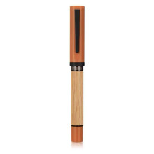0.5mm Fountain Pen Writing Pen Calligraphy Pen-Sunshine Orange