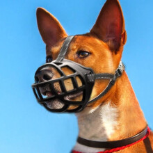 BingoPaw Silikon-Antibellmaulkorb, 34-37 cm, für mittelgroße und große Hunde