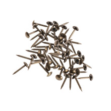 antique bridle round nail brass pin