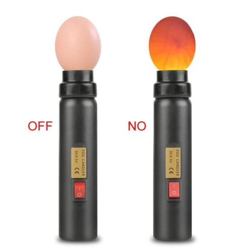 LED-Eierprüfer, Eiertester, tragbare Hochleistungs-Brutlampe, Kaltlicht 1