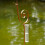 Snail Shape Rain Gauge, Rustproof Rain Meter, Garden Decor Stake 2