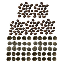 100Pcs Craft Acorns for Christmas Home-Acorn hat with acorn