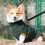 Winter Coat Dog Coat Comfortable Durability-Dark Green M 6