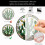Cactus Window Solar Catcher  Great Current Plant Decoration for Windows 5