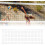 Volleyball Net  Foldable Replacement Net for Badminton  Sports Training 2