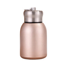 Portable Portable Nonrust Steel Insulated Bottle Advanced-Gold
