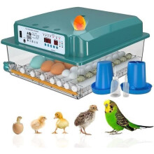 Automatischer Brutapparat für 36 Eier, automatische Eierwende und Feuchtigkeitsüberwachung-A