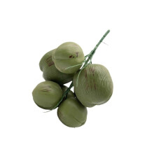 Kunstmatige simulatie Fake Tropicals Fake Fruit Jungle Wedding-C