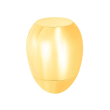 Dog Urn Mini Size Pet Dog Sympathy Gift for Remembrancer-gold