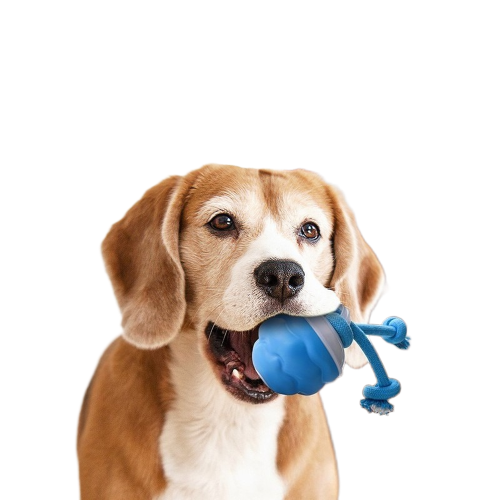 USB Charging Smart Dog Ball, Squeak & Roll