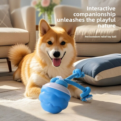 USB Charging Smart Dog Ball, Squeak & Roll 2