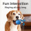 USB Charging Smart Dog Ball, Squeak & Roll 4