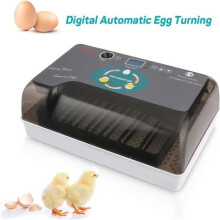 Automatischer Brutapparat für 12 Eier für Geflügel, Smart Digital, Temperaturregelung, Grau