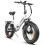 SameBike SAMEBIKE 20"Commuter E-Bicycle 750W, 48V13Ah-white 17