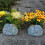 Schöne Haustier-Tribute-Flasche,-Katzenblumentopf 7