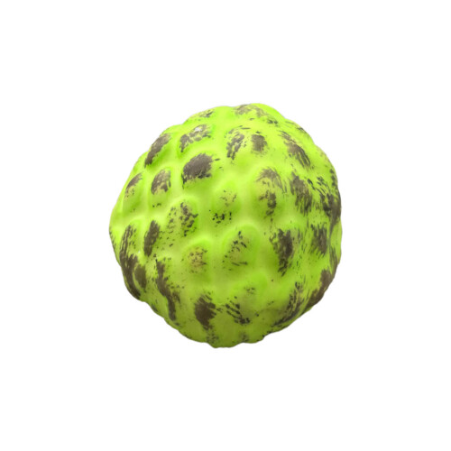 Artificial Lemon Simulation Fruit Photography Props-green lily