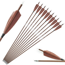 Archery Carbon Arrows 31 Inch with Natural Feathers Spine 340600 Pack of 12