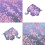 Origami Paper Folding  60 Sheets Different Patterns 15x15cm DoubleSided 5