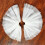 Wedding Gloves With Mesh Design Comfortable Stretchable-White 5