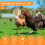 Automatic Chicken Feeder, Pack of 2, Chicken Toy Activity with Spring 2