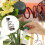 Pack of 10 Automatic Watering System, Watering Cone, SelfDripping for Plants 5