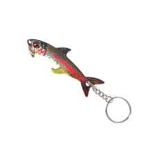 Ouvre-bouteille en forme de poisson sur le-truite arc-en-ciel