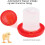 Automatic poultry feeding system  No waste design  and easy to clean Ref: 6095 2