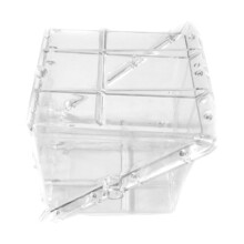 Quadratic watermelon growth practical premium Ref: 5302