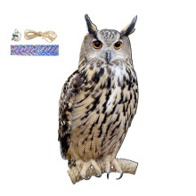 Falcon and Owl Decoy for Scaring Birds Bird Scarecrow Model 1 Ref: 1164