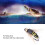 Angler's Delight, χημικά ακονισμένα αγκίστρια για ποικιλία μυγών, ιδανικά για διάφορες 7