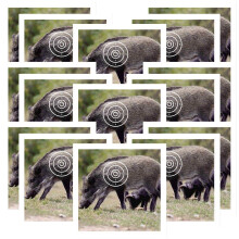 Archery Target Paper 20 Pieces Wild Boar Archery Dartboard Paper Hunting Archery Kit Standard Full Ring Single Point Target Surface Style 2 Ref: 4820