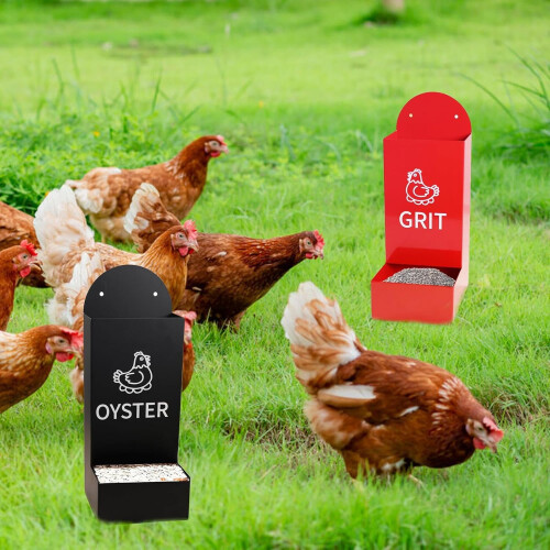 oyster shell feeder, chicken grain holder, sturdy container, easytomount, poultry drinker, 26x10cm Ref: 7763 2
