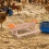 Wear largevolume feeding system for poultry quails ducks Ref: 6292 2