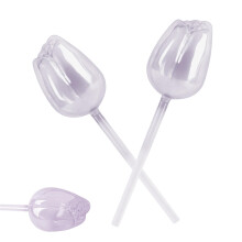 Plant Watering Balls Glass Water Bulbs 9.45 Inch SelfWatering System Ref: 2899