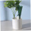 Self Watering Planter Insert 2pcs 200ml Adjustable Plant Watering Devices 2