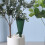 Self Watering Planter Insert 2pcs 200ml Adjustable Plant Watering Devices 4