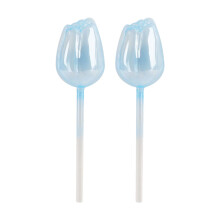 Pflanzenwässerungskugeln 2x decorative glass watering spikes flowershaped auto planter ert