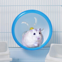 Happy Fitness hamsterhjul, dolt tyst lager främjar husdjurshälsa och fitness, säkert starkt hållbart kompatibelt med olika husdjursburar