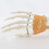 Anatomical Hand Skeleton Model With Movable-Attached ligament 6