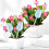 Automatic glass watering spikes, feeder balls for indoor plants 2