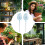 Automatic glass watering spikes, feeder balls for indoor plants 3